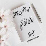 🌸منْ أحَبَّ الله رَأى كُلَّ شَئٍ جَمِيلا 🌸