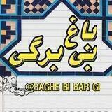 باغ بی برگی