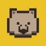 MovingCoin💥Wombat官方中文群
