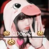 🍪~ᥴ᥆᥆kіᥱs~🍪