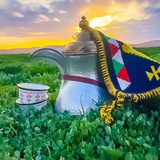 لاتـــيـــأس🏕️📸