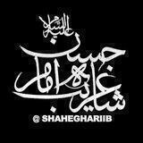 *شاه غریب امام حسن(ع)*