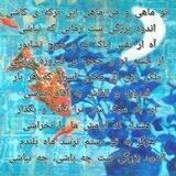 گنجینه شعر و ادب
