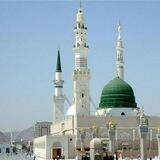 🌱احیاء السنن🌱