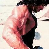 officialslystallone