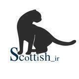 🐾Scottish_ir 🐾