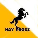خدمات ممبر های پروکسی | Hay proxi