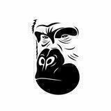 DxSale - Presales (APES)