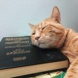 Arabictutor