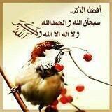 🌺للفردوس الأعلى نسعى🌺🌾