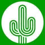 KATOONI CACTUS🌵👟