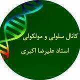 سلولی مولکولی استاد اکبری