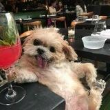 🐶 У Бутылька