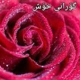 گۆرانــــــــی خۆش 😍