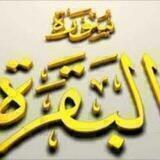 سورة البقرة (مقسمة صفحات)