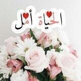 🌹أمــ الــحــيــاة ــــل🌹