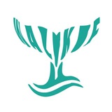 فروشگاه وال کیف