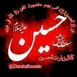 زیارت الحسین ع ( کلیپ و تصاویر کربلا)