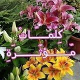 💞❍أجمل الكلمات المؤثرة❍💞