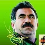 گذار دموکراتیک