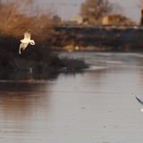 «دغدغه‌های محیط‌زیستی»