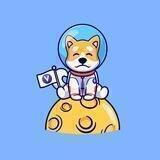 Voyager Inu Portal