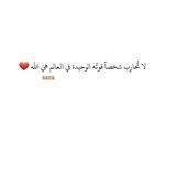 ♥ ﴿ضَاحِكَةٌ مُّسْتَبْشِرَة﴾ ♥