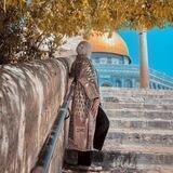 نرجس 𓂆💙