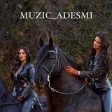 MUZIC_ADESMI