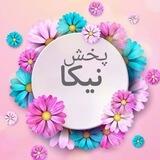 پخش نیکا
