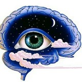 Neuropsicopedagogia PDFs