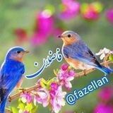 فاضلان