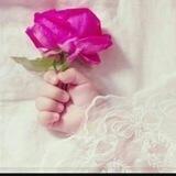 تغريدات 🕊💞