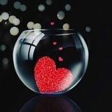 ❤️ همسات دافــئــة ❤️
