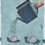 ⛾ القواعد الإنجليزية للمبتدئين📚