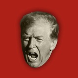 Гамбіт Трампа