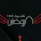 هيئة الروضتين