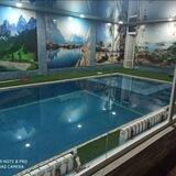DACHA🌴🌴GREEN ZONE🌴🌴ДАЧА