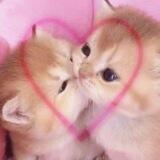 @ valentine