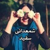 شمعدانی سفید