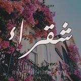 •°• شــﮩًـقـﮩًـرٍآٍ °•° 4:44