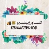 کشاورز پیشرو 🌾🚜