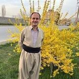 ژیانەوە
