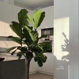 غَيسَانة ☁️🌱.