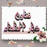 💎فتاوى كبار العلماء💎