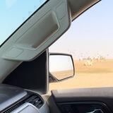 غمامّ