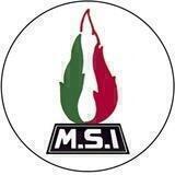 Movimento Sociale Italiano