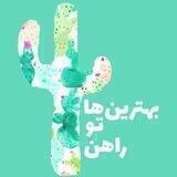 کاکتوس 🌵✨