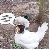 Lo Zoo degli Estintori 💩🧯
