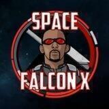 SpaceFalconX- Shilling Group